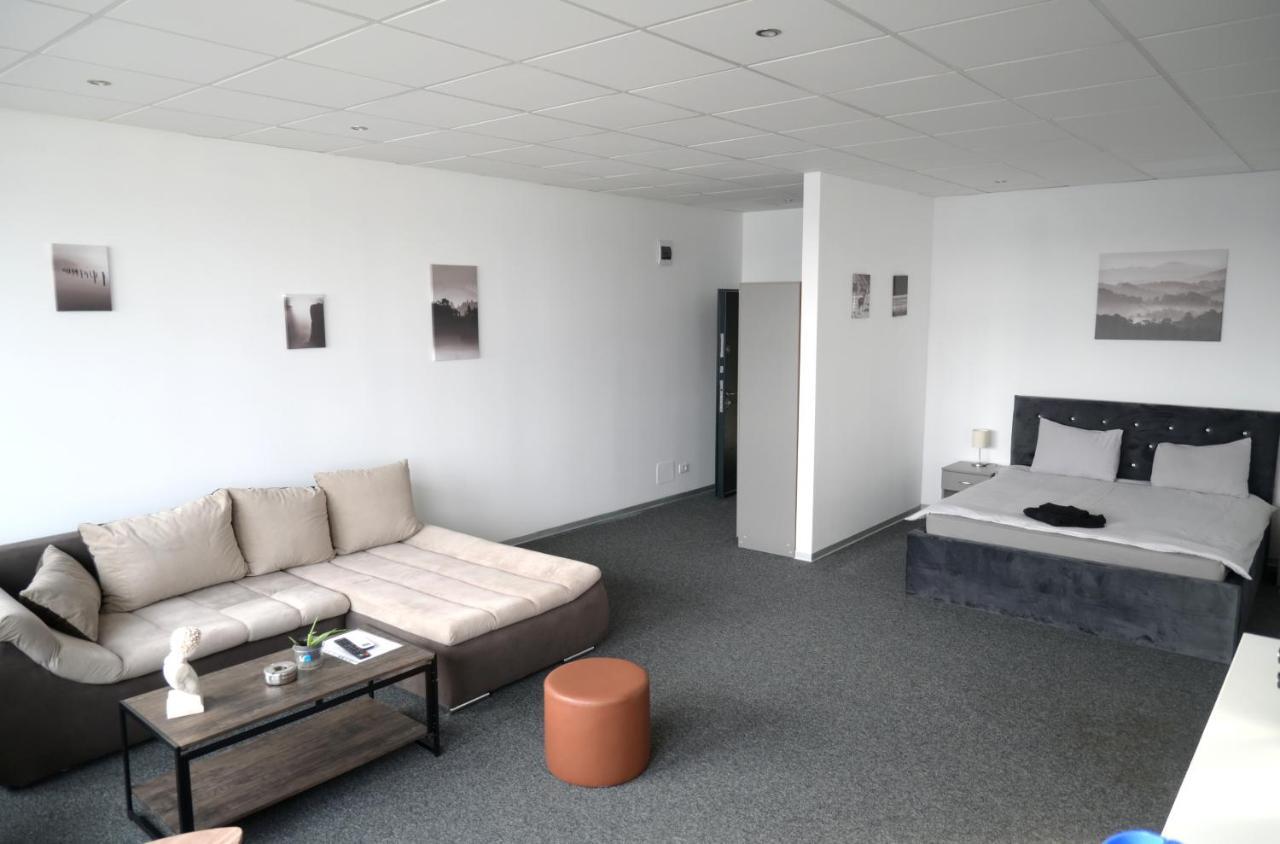 Luana Airport Apartments #3 Otopeni Eksteriør billede
